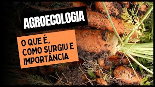 AGROECOLOGIA: O que é, Como Surgiu e Importância