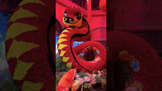 Happy Lunar New Year! 🧧🐍 Bellagio Conservatory in Las Vegas!