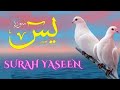 Surah Yaseen سوره يٰسٓ Daily For ❤Heart, Store, House, Shop, Rizq, Relax, Peaceful and Peace of Mind