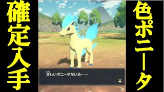 【序盤で可能！】色違いポニータを確定で入手する方法【Pokémon LEGENDS アルセウス】