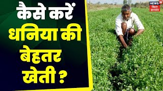 Annadata : धनिया की उन्नत किस्में और बुवाई तकनीक | Farming in India | Agriculture | Dhaniya ki Kheti