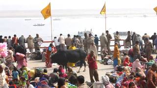 Ganga (Ganges)  at noon.