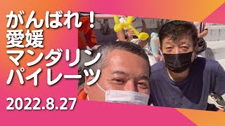 #488  【大洲市議会議員】中野ひろし がんばれ！愛媛マンダリンパイレーツ