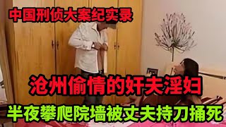 中国刑侦大案纪实录，河北发生惨案，女子偷情被发现，情人半夜攀爬院墙被丈夫持刀捅死