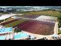 Aerial Video of BGG’s state-of-the-art, 100% glass tube Astaxanthin farm