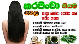 කරපිංචා නියම තෙල සාදා ගන්නා හරිම ක්‍රමය  👩‍⚕️