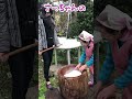 お餅つき　さっちゃんの手返しの腕前は？