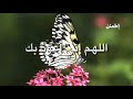 اللهم إرزقني راحة البال ❤😭 دعاء يريح القلب حالات واتس اب دينية🍃 مقاطع انستقرام دينية مقاطع دينية