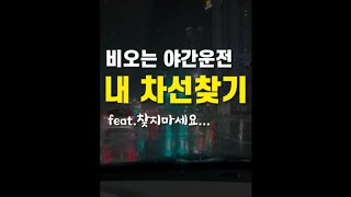 비오는 야간운전 내차선 찾는 요령 feat.찾지마세요..