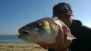 Sea bass fishing in the waves. За лавраци във вълните