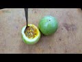 anarkoli fruit extreme tasty sour sweet bangladeshi street food himchori cox s bazar