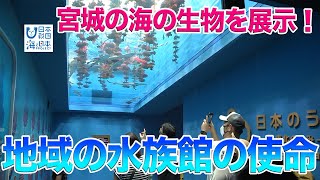 宮城の海に寄り添う水族館 日本財団 海と日本PROJECT in みやぎ 2020 #17