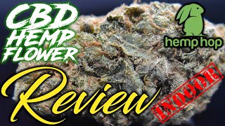 More INDOOR from Hemp Hop! | CBD Hemp Flower Review