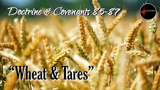 Come Follow Me - Doctrine and Covenants 85-87: Wheat & Tares