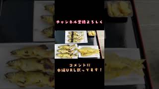 【夏休み】鮎の掴み取り行ってみた！！