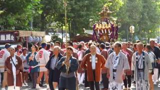 板橋区民まつり 2016 神輿パレード 【板橋支部神輿】Itabashi Ward Community Festival  Portable shrine \