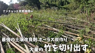 一度真剣に作ってみます【正統派竹活用】