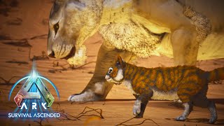 Myrm's LEONIS, TIGRIS and MORE Spotlight | ARK: Ascended