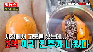 시장에서 산 조개 3억원 넘는 멜로 진주를 품고 있었다