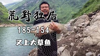 荒野独居第154天，又上大草鱼，竿都给我拖下水了！