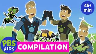 Wild Kratts COMPILATION | 🐜 Creepy-Crawly Bugs Marathon! 🪲 | PBS KIDS