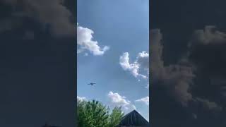 Russian Aircraft flying in NWO zone in ukraine#shorts #russia #ukrainewar #ukraine #nwo