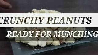 Roasted Peanuts Recipe 2 Mins in Microwave | Salted Peanuts Microwave | Tasty \u0026 Easy Peanuts in Mins