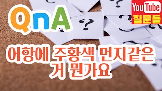 어항에 주황색 먼지같은거 뭔가요