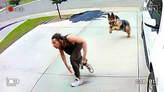 Don't Ever Run From a Police Dog