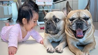My Dog Made Our Baby Laugh | TOO CUTE