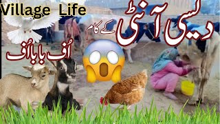 Village Women Take Care of Animals and Milking Cow by Hand || Cow || Goats || Hens || Village Life |