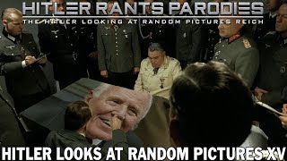 Hitler looks at random pictures XV