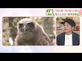 雄大な山脈や原生的な自然あふれる“日高山脈襟裳十勝国立公園”誕生 北海道では37年ぶり７か所目の指定…日本一の面積を持つ国立公園