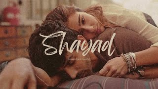 Shayad [slowed and reverb] - Love Aaj Kal | Kartik | Sara | Arushi | Pritam | Arijit Singh