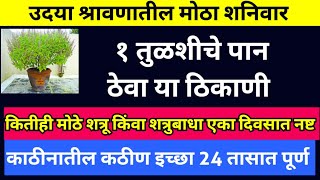 उदया श्रावणातील मोठा शनिवार १ तुळशीचे पान अर्पण करा या ठिकाणी. कितीही मोठे शत्रू एका दिवसात नष्ट.