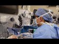 Larynx Transplant Research - Center for Regenerative Biotherapeutics