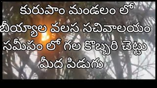 కురుపాం మండలం,బియ్యాల వలస సచివాలయంసమీపంలోకొబ్బరి చెట్టు పై పిడుగు పడిన దృశ్యాలు