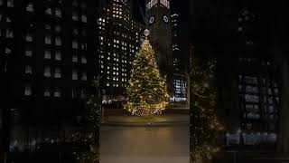 Seeing the iconic Christmas trees of NYC