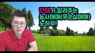 단테가 알려주는 농사매매(무손실매매) 노하우 전수!