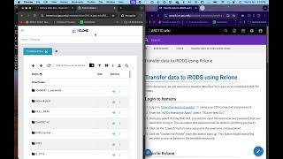 Data Transfer to iRODS with RClone
