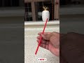 🥔 Potato and Straw Trick 😂 : Real or Fake #shorts