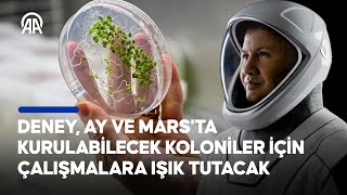 Türk astronot Gezeravcı'nın uzaydaki ilk deneyi uzayda tarım çalışmalarına yön verecek