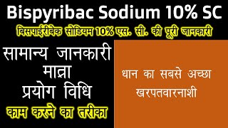 Bispyribac Sodium 10% SC | धान का सबसे अच्छा खरपतवारनाशी |