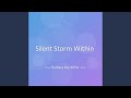 Silent Storm Within