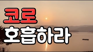 코로 숨쉬는 습관을 가져야 하는 이유 | 하버드식 호흡의 기술