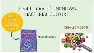 Identification of unknown Bacterial culture | Detailed video with Approach \u0026 use of Bergey's manual