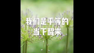 201703 我们是平等的  当下醒来22234