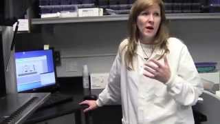 YCSO DNA crime lab