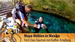 Cenote Chak Moll Mexiko / Yucatan: Tauchen mit krasser Überraschung in der Höhle # 5