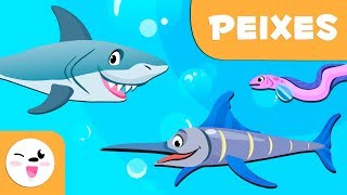 Peixes para crianças - Animais vertebrados - Ciências para crianças